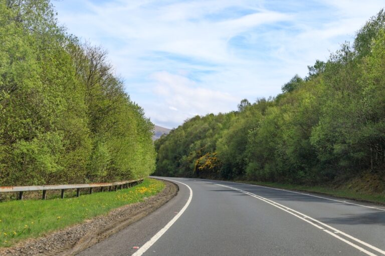 A,Peaceful,Drive,Through,The,Lush,Green,Forest