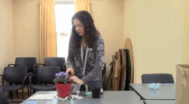 african-violet-planter-video