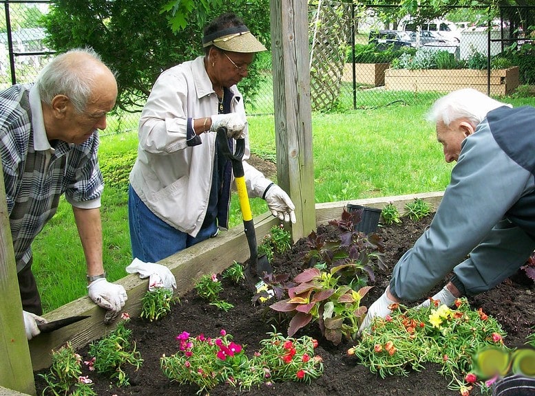 working in garden