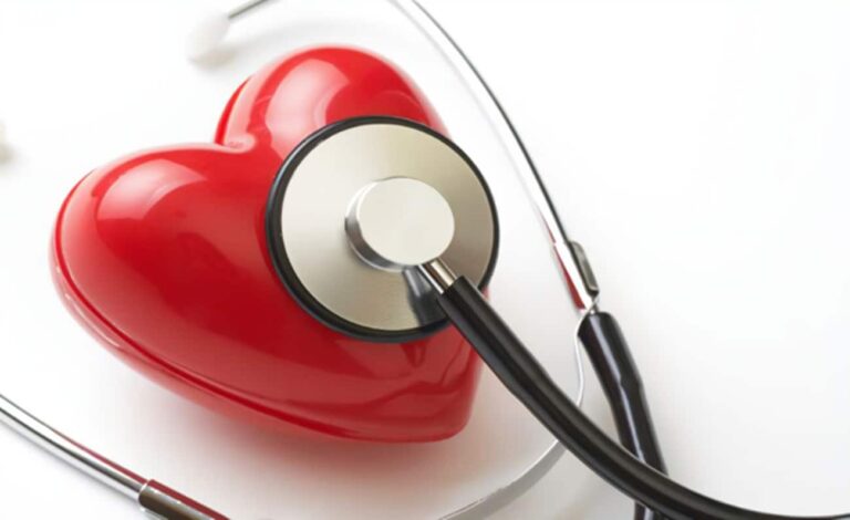 A heart-shaped structure with a stethoscope on it.